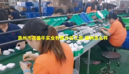 花盛年實業(yè) 創(chuàng)新投資驅(qū)動惠州產(chǎn)業(yè)升級新引擎